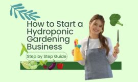 How to Start Hydroponic Gardening Farming