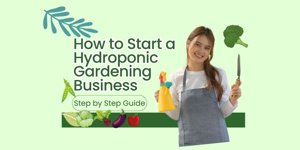 How to Start Hydroponic Gardening Farming 1 How to Start Hydroponic Gardening Farming Business